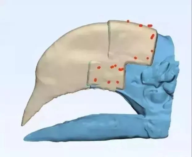 The world’s first case of four bionic cat paws, amazing my 3D printing(图2)